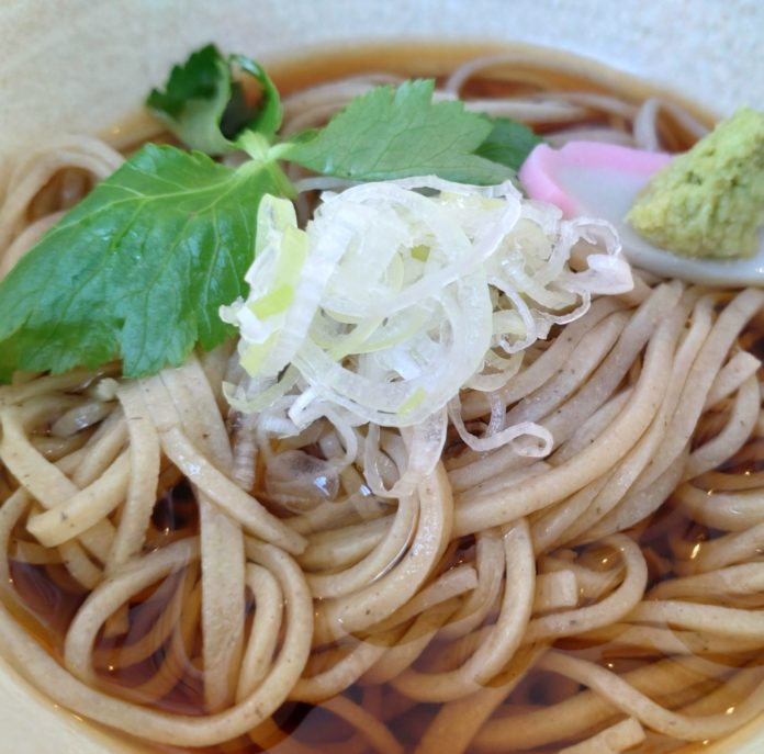 Udon