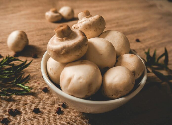 Mushrooms